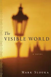 The Visible World_cover