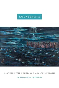 Counterlife_cover
