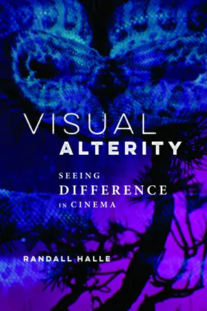 Visual Alterity