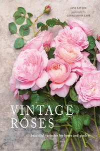 Vintage Roses_cover