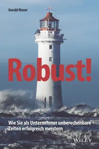 Robust!_cover