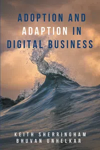 Adoption and Adaption in Digital Business_cover