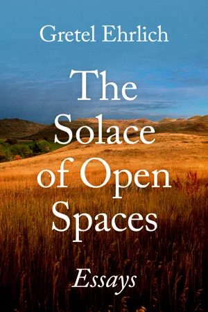 The Solace of Open Spaces