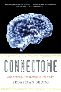 Connectome_cover