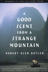 A Good Scent from a Strange Mountain_cover