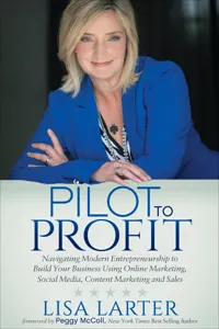 Pilot to Profit_cover