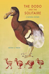 The Dodo and the Solitaire_cover