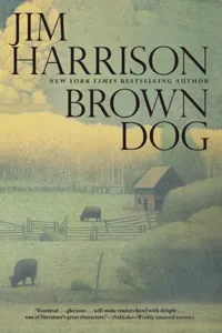 Brown Dog_cover