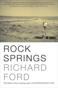 Rock Springs_cover