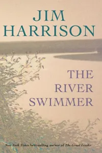 The River Swimmer_cover