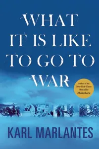 What It Is Like to Go to War_cover