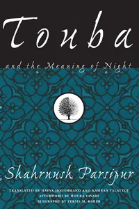 Touba and the Meaning of Night_cover