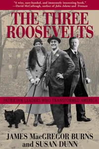 The Three Roosevelts_cover
