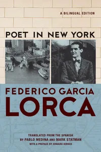 Poet in New York_cover