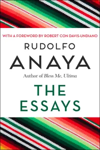 The Essays_cover