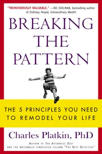 Breaking the Pattern_cover