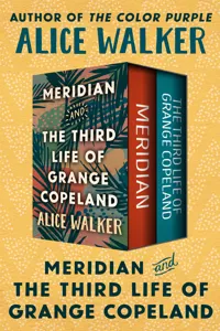 Meridian and The Third Life of Grange Copeland_cover