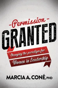 Permission Granted_cover