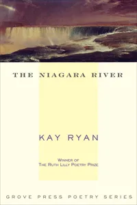 The Niagara River_cover