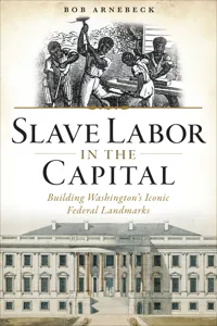 Slave Labor in the Capital_cover