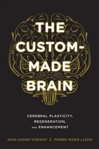 The Custom-Made Brain_cover