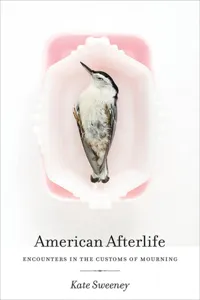 American Afterlife_cover