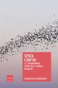 Senza confini_cover