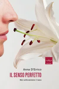 Il senso perfetto_cover