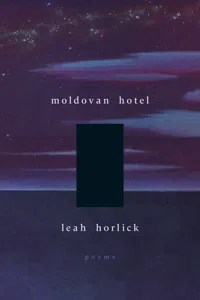 Moldovan Hotel_cover