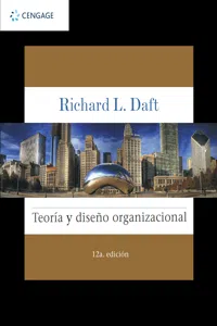 TEORÍA Y DISEÑO ORGANIZACIONAL_cover