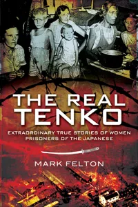 The Real Tenko_cover