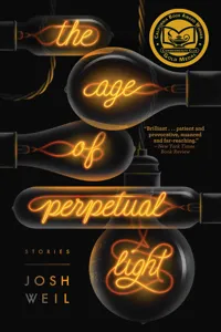 The Age of Perpetual Light_cover