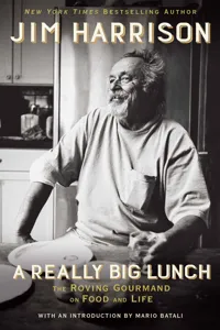 A Really Big Lunch_cover