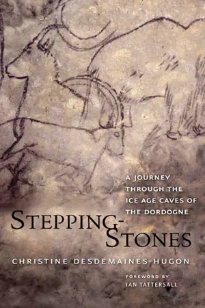 Stepping-Stones