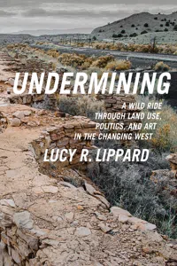 Undermining_cover