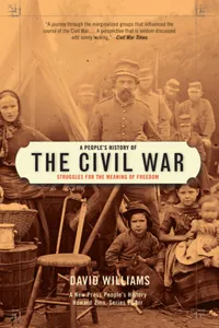 A People's History of the Civil War_cover