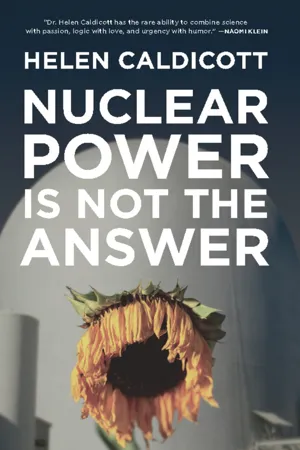 Nuclear Power Is Not the Answer