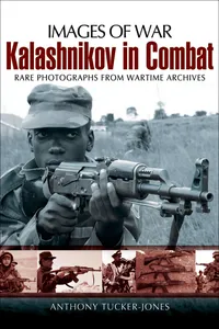 Kalashnikov in Combat_cover