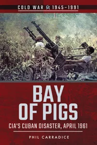 Bay of Pigs_cover