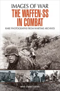 The Waffen-SS in Combat_cover