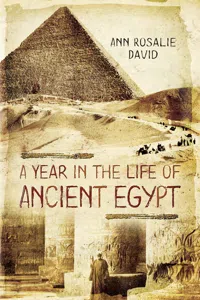 A Year in the Life of Ancient Egypt_cover