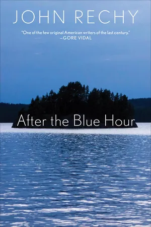 After the Blue Hour