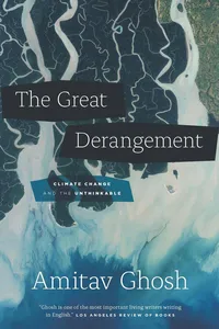 The Great Derangement_cover