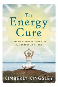 The Energy Cure_cover