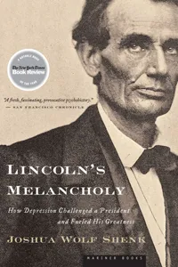 Lincoln's Melancholy_cover