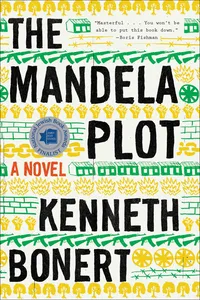 The Mandela Plot_cover