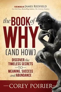 The Book of Why_cover