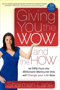 Giving You the Wow and the How_cover