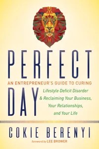 Perfect Day_cover