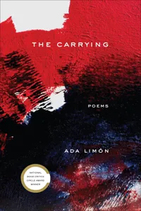 The Carrying_cover